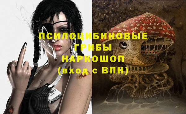 2c-b Нязепетровск