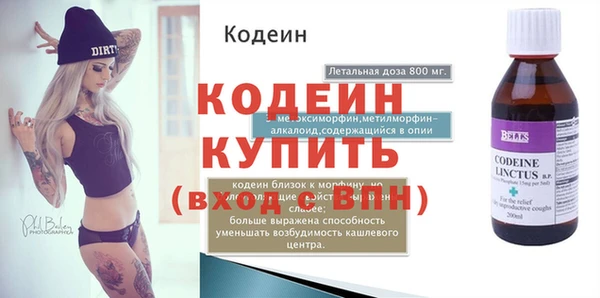 хмурый Няндома