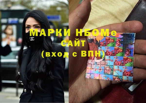 хмурый Няндома