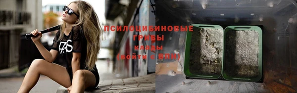 хмурый Няндома