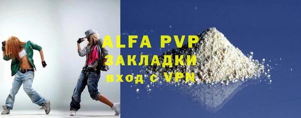 хмурый Няндома