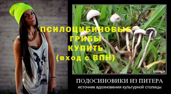 spice Новозыбков