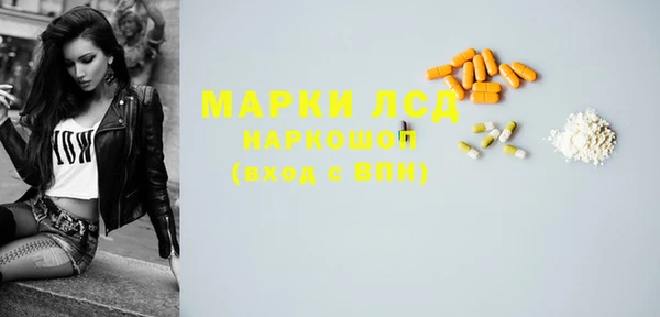 хмурый Няндома