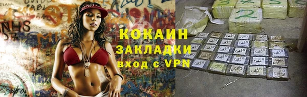 хмурый Няндома