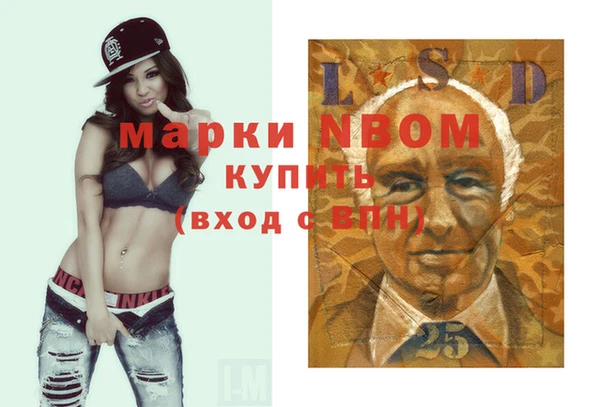хмурый Няндома