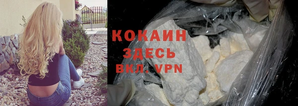 хмурый Няндома